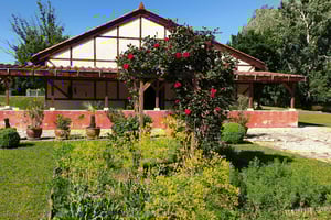 Budapest Hidden Gems: Roman Aquincum Private Tour