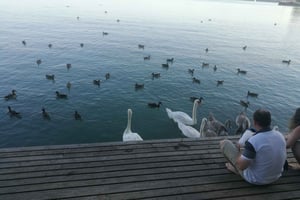 Budapest: Balatonsjøen og Herend-porselen - privat dagstur