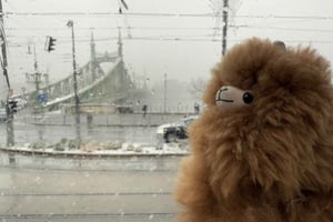 Будапешт: Частная 4-часовая экскурсия по городу на автомобиле