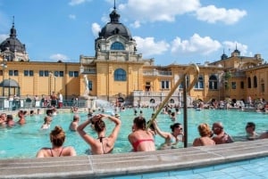 Budapest: Giornata intera alle terme Széchenyi con degustazione facoltativa