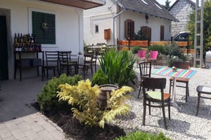 Vicino a Budapest: degustazione di vini in una piccola e accogliente cantina a conduzione familiare