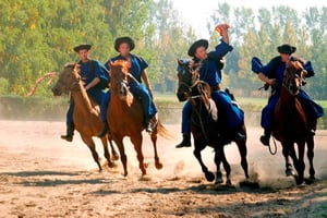 Desde Budapest: Tour de día completo por Puszta con comida y espectáculo