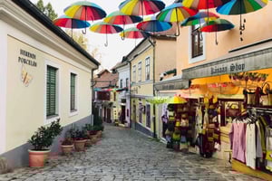 ブダペスト発：センテンドレ芸術家村ツアー