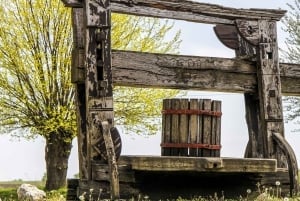 Da Budapest: tour enologico di mezza giornata in campagna con pasto