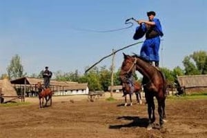 プスタツアーと馬のショー