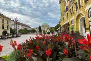 Boedapest: Privéwandeltour met een lokale gids