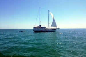 Baltschik: 4-stündige Bootsfahrt auf dem Schwarzen Meer mit Mittagessen und Getränken