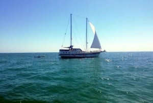 Balchik: 4-timers Svartehavscruise med lunsj og drikke