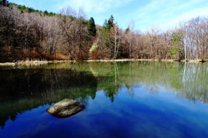 From Sofia: One-Day Tour of Vitosha Mountain
