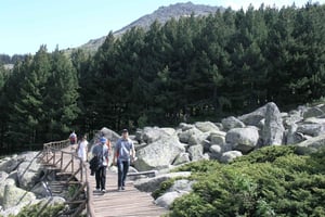 Randonnée d'une journée complète à Vitosha et au sommet de Cherni Vruh