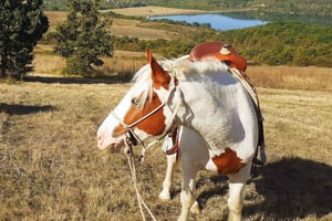 Escape Sofia: ridetur gennem Bulgariens smukke natur