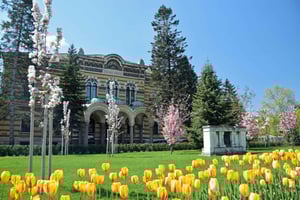 Sofia: Insta-Perfekti Kävele paikallisen kanssa