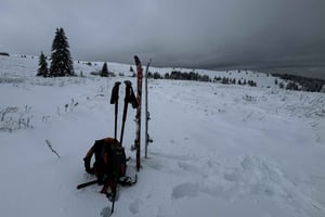 Vitosha: Mountain Stars -hiihtokoulun hiihtoretki