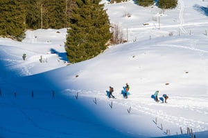 Winter experience: Osogovo mountain, Snowshoe, Lunch and spa