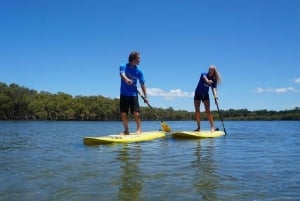 Byron Bay: Excursão de 2,5 horas de Stand-Up Paddle Board em grupo