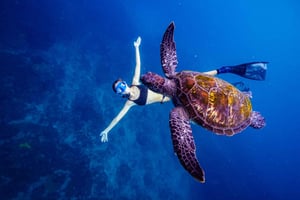Brunswick Heads: Snorkling i Byron Bay