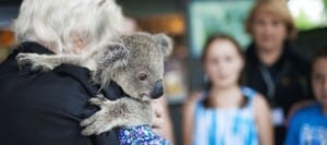 Port Macquarie og omgivelser