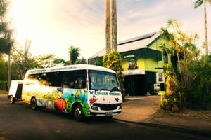 Cairns: tour di 2 giorni dell'Atherton Tablelands e Cape Tribulation