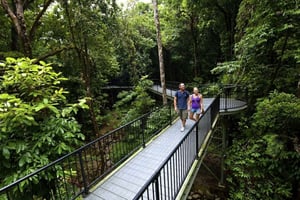 Cairns: Cape Tribulation, wąwóz Mossman i Daintree – wycieczka 1-dniowa