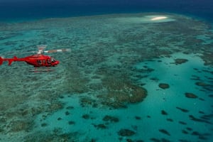 Cairns: Volo in elicottero di 30 minuti sulla Grande Barriera Corallina
