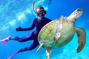 Cairns: Great Barrier Reef Pontoon with Water Activities
