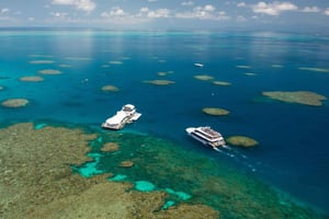 Da Cairns: esperienza in gommone sulla Grande Barriera Corallina
