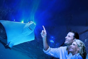 Cairns: Visita guiada ao aquário ao anoitecer com jantar de 3 pratos