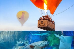 Cairns: Kuumailmapallolento ja pääsy Cairns Aquariumiin