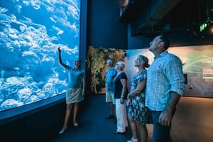 Cairns: Night at the Aquarium Guided Tour & 2 Course Dinner