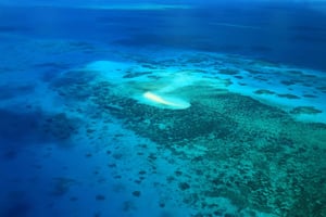 Cairns : Vol panoramique au-dessus de la Grande Barrière de Corail
