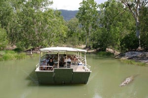 Kustexcursie in Cairns: tour door het krokodillen- en wildpark