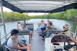 Cairns: Sightseeing River Boat Safari with Soft Drinks