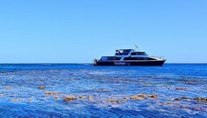 Calypso Pure Snorkelling