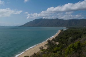 Cairns: tour premium di Cape Tribulation e della foresta pluviale di Daintree