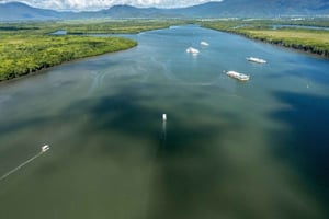Descubra Cairns: cruzeiro guiado pelo rio Cairns e passeio pelos pontos turísticos da cidade