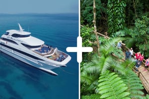 Cairns: 2-daagse Great Barrier Reef & Daintree Rainforest Tour