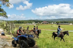 Depuis Cairns : Excursion d'une journée à Kuranda avec zoo pour enfants et balade en quad