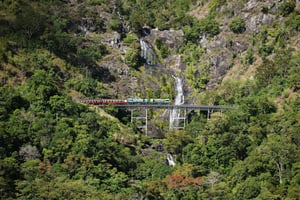 Depuis Cairns : Visite de Kuranda avec transfert