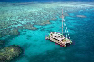 From Cairns: Great Barrier Reef Cruise by Premium Catamaran