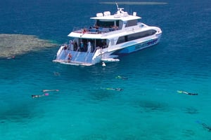 Cairns: Silverswift – 3 miejsca na Wielkiej Rafie Koralowej w 1 dzień