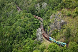 N. Queensland: Dagtour naar het Kuranda-regenwoud