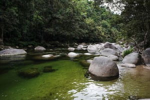 Port Douglas: Passeio matinal em Daintree c/ cruzeiro guiado pela vida selvagem