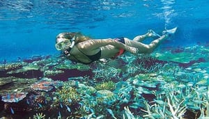 Poseidon Outer Reef Cruises