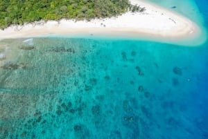 Vanuit Cairns: all-in dagtour naar Frankland Island