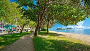 Tourism Palm Cove