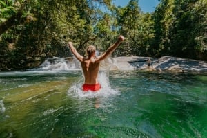 Desde Cairns: excursión a las cascadas con almuerzo