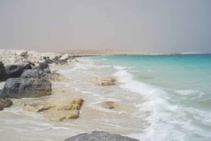 Kairo: EL-Alamein Guidet dagstur med frokost i 2. verdenskrig