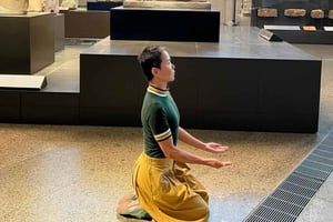 Dagstur til det store egyptiske museum med frokost