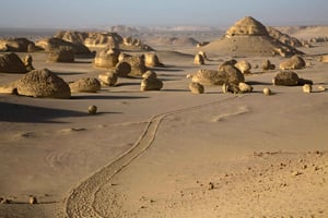 Discover Wadi Hitan, Egypts Prehistoric Wonder!