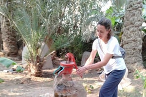 Tour di un giorno in campagna in Egitto